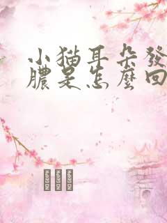 小猫耳朵发炎流脓是怎么回事