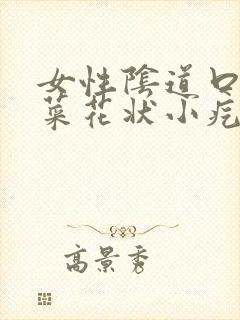 女性阴道口上有菜花状小疙瘩