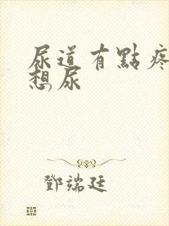 尿道有点疼总是想尿