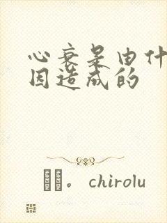 心衰是由什么原因造成的