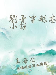 刘青穿越亮剑的小说