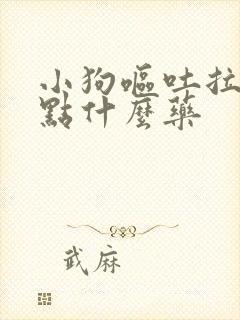 小狗呕吐拉稀吃点什么药