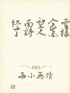 终南望余雪表达了诗人怎样的情感