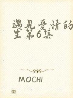 遇见爱情的利先生第6集