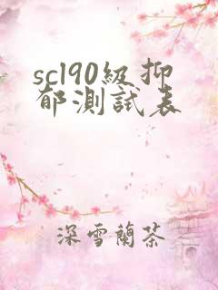 scl90级抑郁测试表