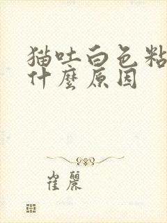 猫吐白色粘液是什么原因