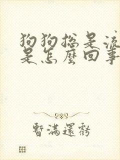 狗狗总是流眼屎是怎么回事