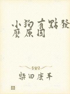 小狗有点发抖什么原因