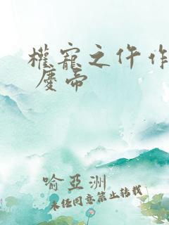 权宠之仵作医妃 庆帝