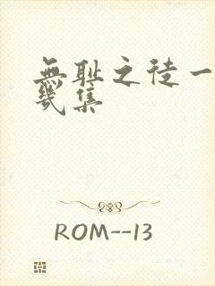 无耻之徒一季有几集