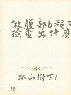 做腹部b超可以检查出什么妇科问题