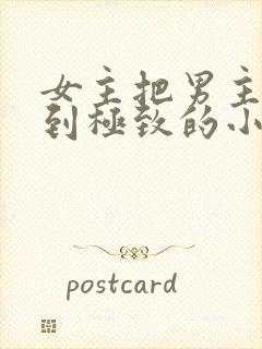 女主把男主囚禁到极致的小说