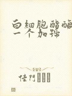 白细胞酯酶阳性一个加号