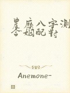 农历八字测合婚合姻配对