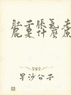 肚子胀气老爱放屁是什么原因