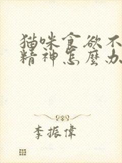 猫咪食欲不振没精神怎么办