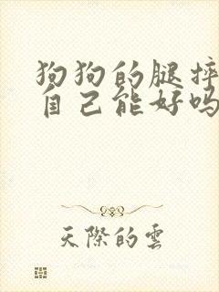 狗狗的腿摔瘸了自己能好吗