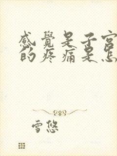 感觉是子宫下坠的疼痛是怎么回事