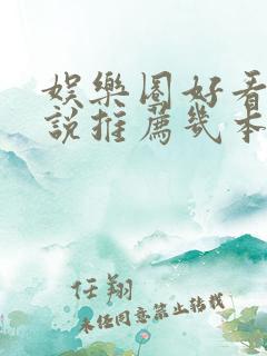 娱乐圈好看的小说推荐几本