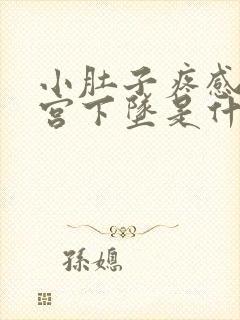 小肚子疼感觉子宫下坠是什么原因