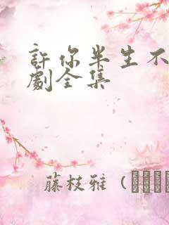 许你半生不见短剧全集