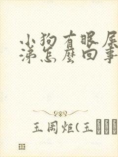 小狗有眼屎流鼻涕怎么回事