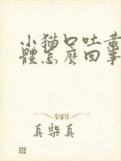 小猫口吐黄色液体怎么回事