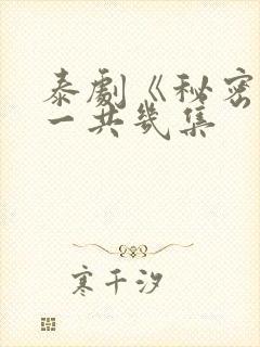 泰剧《秘密爱》一共几集