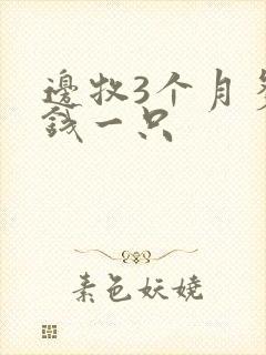 边牧3个月多少钱一只