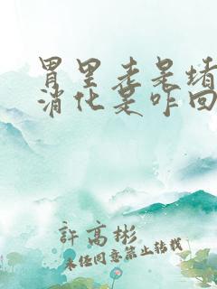 胃里老是堵着不消化是咋回事