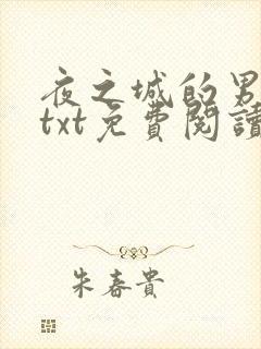 夜之城的男人们txt免费阅读全文