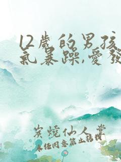 12岁的男孩脾气暴躁,爱发脾气怎么办