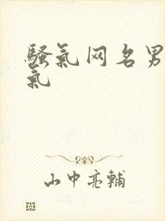 骚气网名男生霸气