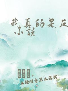 我真的是反派啊 小说