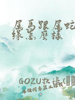 属马跟属蛇的姻缘怎么样