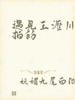 遇见王沥川哪年拍的