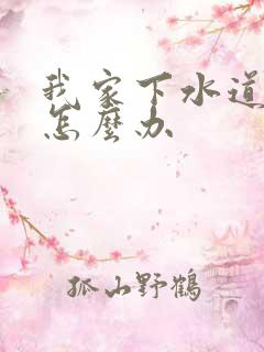 我家下水道堵了怎么办