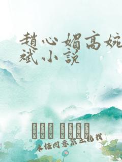 赵心媚高婉君陈斌小说