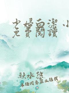 少妇白洁 小说免费阅读