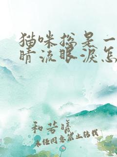 猫咪总是一只眼睛流眼泪怎么回事