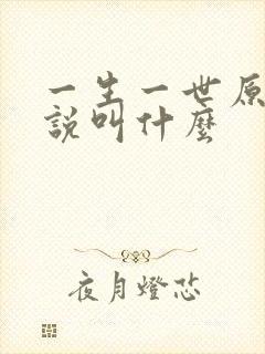 一生一世原著小说叫什么