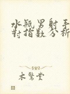 水瓶男射手女配对指数分析