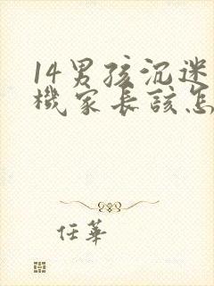 14男孩沉迷手机家长该怎样引导