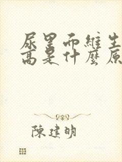 尿里面维生素c高是什么原因