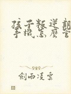 孩子叛逆期沉迷手机怎么管教 合适初中