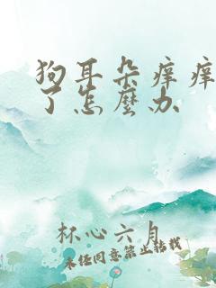 狗耳朵痒痒挠破了怎么办