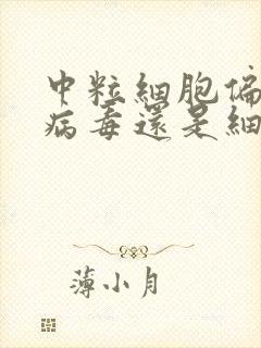 中粒细胞偏高是病毒还是细菌感染