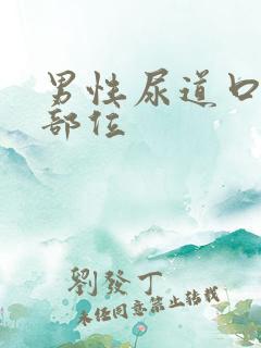 男性尿道口狭窄部位