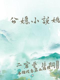 公媳小说姚瑶