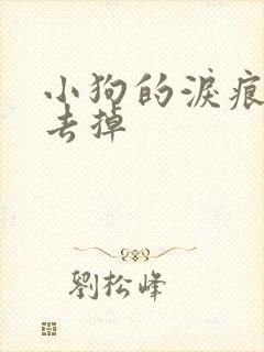 小狗的泪痕怎么去掉